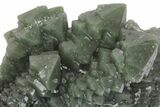 Green, Hedenbergite Included Quartz - Mongolia #163985-3